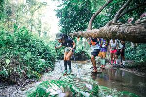 BIB: 
                            <button type="button" onclick="openModal(25444511)" class="btn btn-primary btn-sm float-right btn-popup" data-toggle="modal" data-target=".modal-high-quality">
                        <i class="fas fa-shopping-cart"></i> Add to Cart
                    </button>
                                            <button type="button" onclick="isThisMe(25444511, true)" class="btn btn-success btn-sm float-right btn-popup btn-isme hidden" data-toggle="tooltip" data-placement="bottom" title="นี่คือรูปของคุณใช่ไหม คลิกที่นี่เพื่อเอาเข้าอัลบั้ม">
                        <i class="fas fa-plus"></i> Add to album
                    </button>
                    <button type="button" onclick="isThisMe(25444511, false)" class="btn btn-warning btn-sm float-right btn-popup btn-isnotme hidden">
                        <i class="fas fa-ban"></i> Remove from album
                    </button>